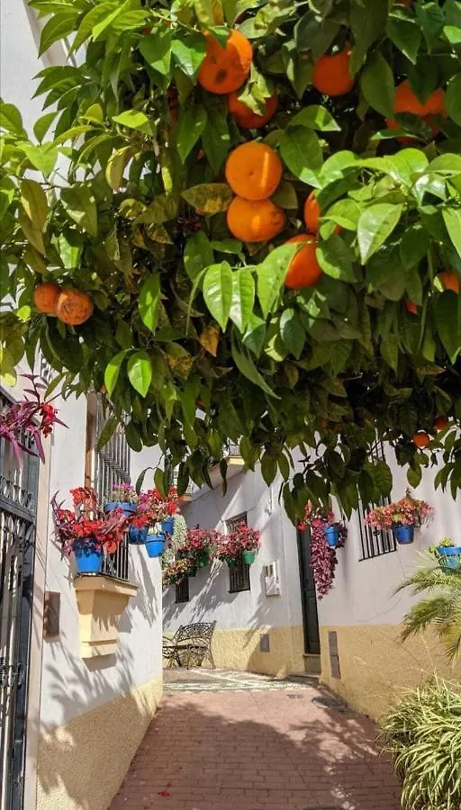 Casa Gibraltar Villa Estepona Semesterbostad